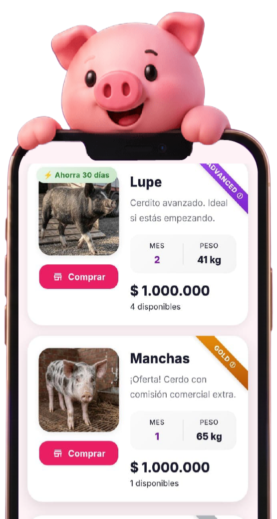 Piggy App interfaz del móvil con cerditos Ponky y Flash